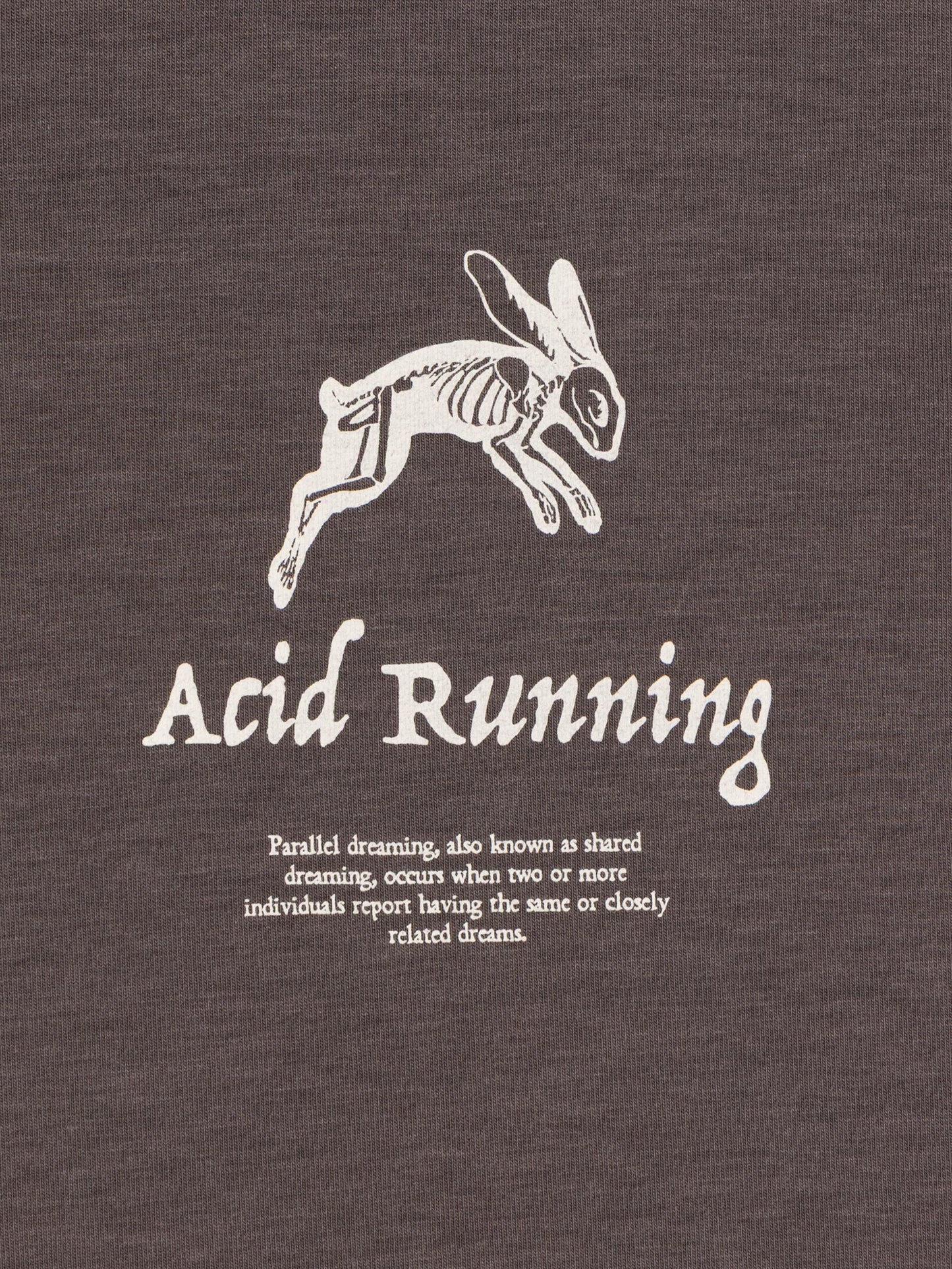 Acid Running A Runner's Dream T-shirt Shadow Taupe